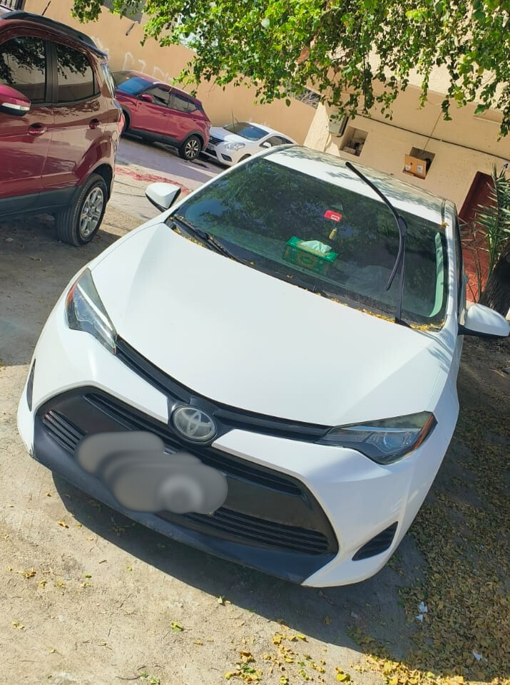 Toyota Corolla 2019