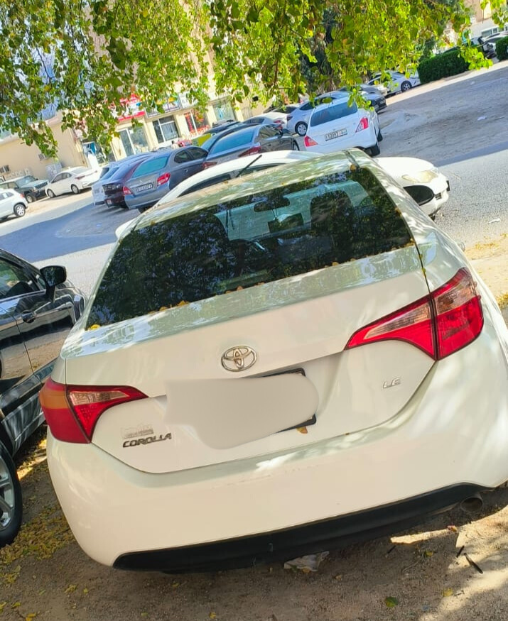 Toyota Corolla 2019